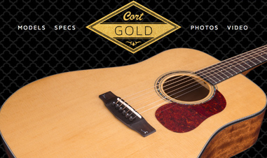 closeup of body of Cort Gold Series acoustic guitar